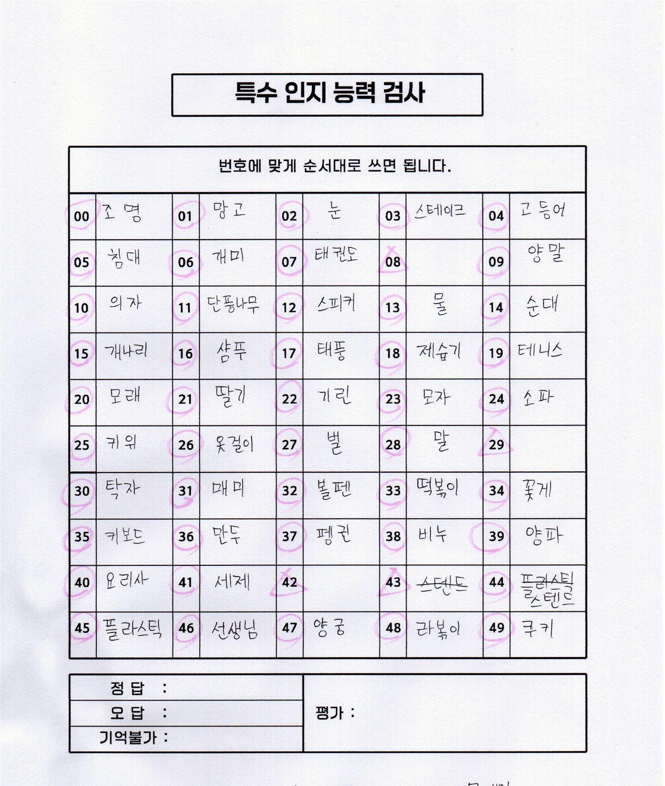 특수 인지능력 검사 결과지
